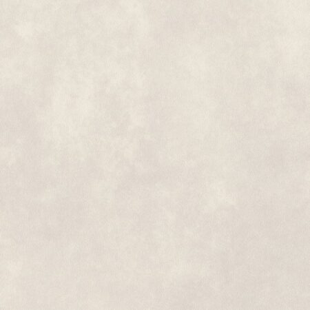 Vinil | Arctic Ceramic