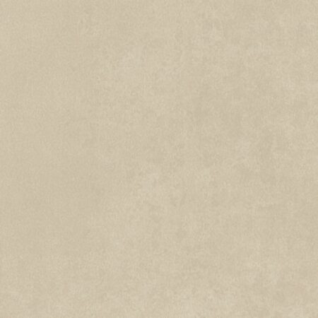 Vinil | Diffusion Cashew