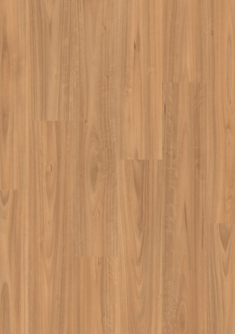 Laminat | Classic Blackbutt Light