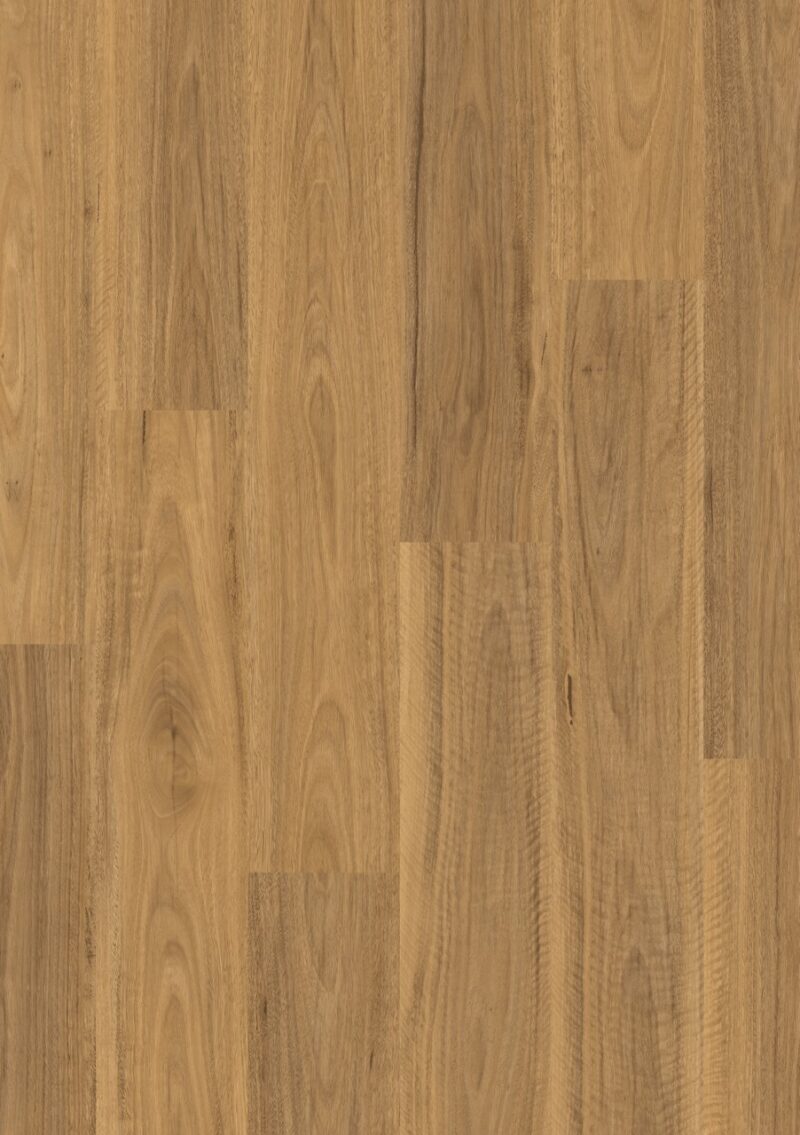 Laminat | Classic Spotted Gum Light