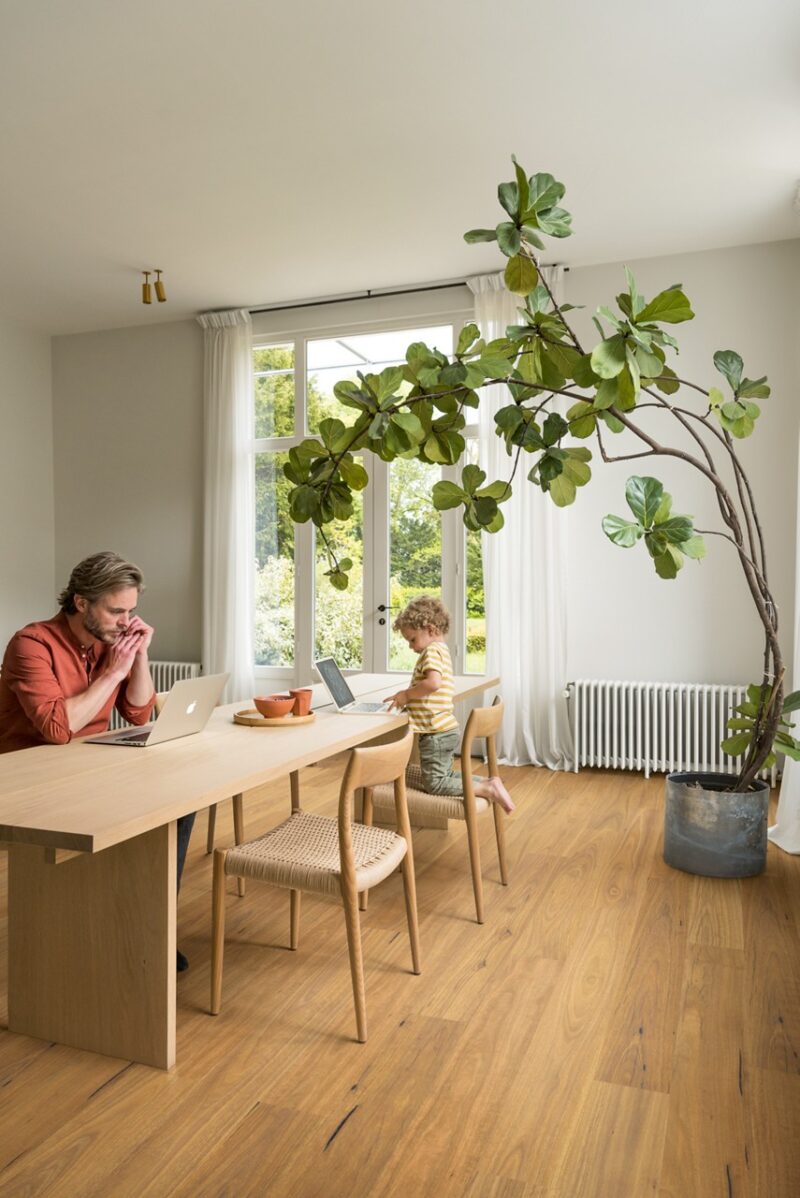 Laminat | Pure spotted gum