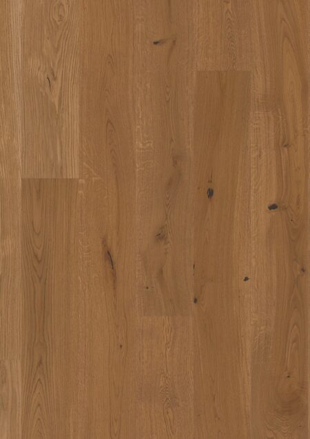 Parket | Oak Honey Vivo