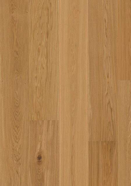 Parket | Oak Transparent Nature