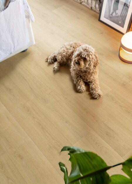 Laminat | Brushed oak natural