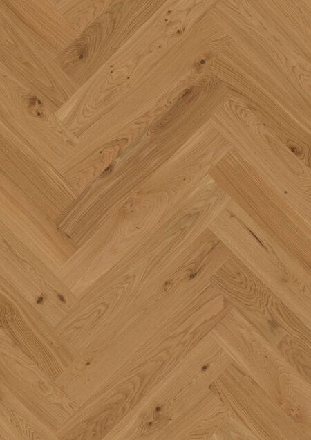Parket | Oak Transparent Animoso