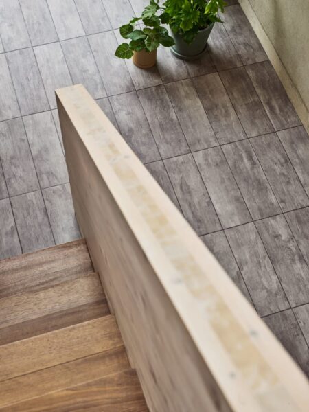 Vinil | Trace Scree