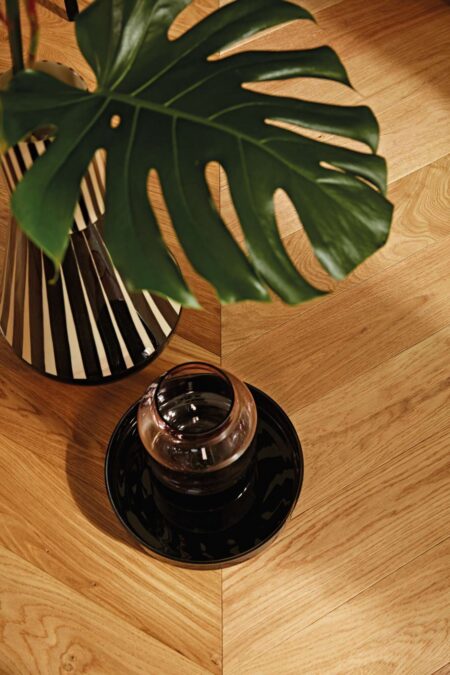 Parket | Oak Transparent Adagio