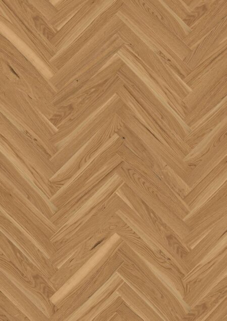 Parket | Oak Transparent Structure