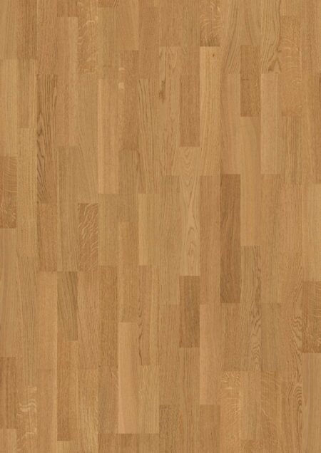 Parket | Oak Transparent Adagio