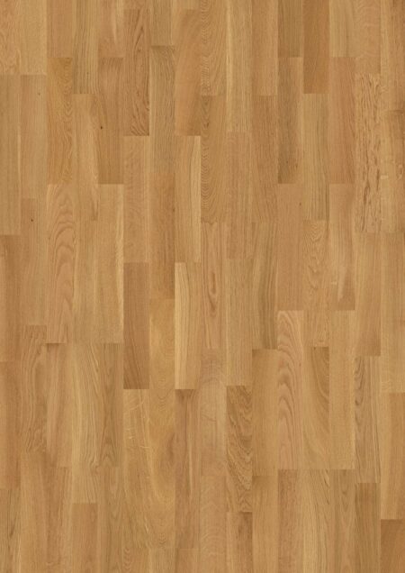 Parket | Oak Transparent Andante