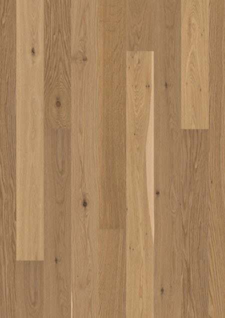 Parket | Oak Transparent Semi Smoked Animoso