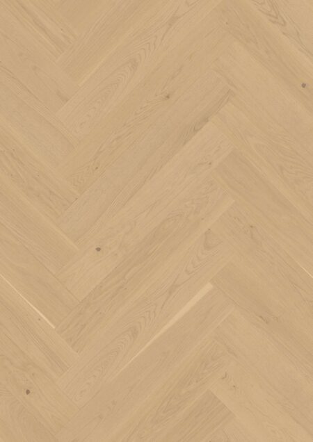 Parket | Oak White Andante