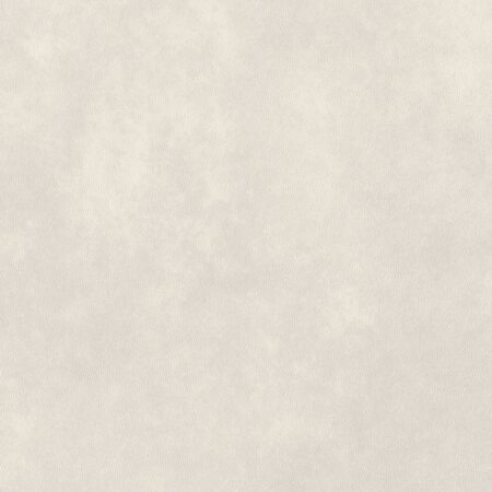 Vinil | Arctic Ceramic