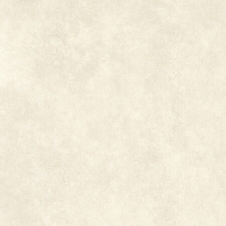 Vinil | Dew Stone