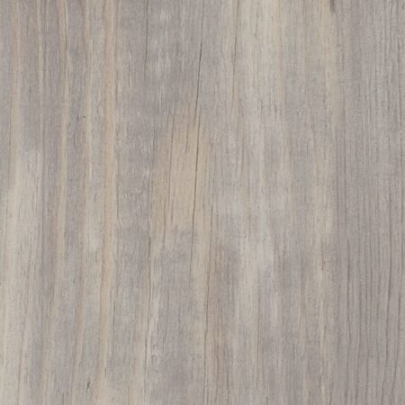 Vinil | Halo Pine