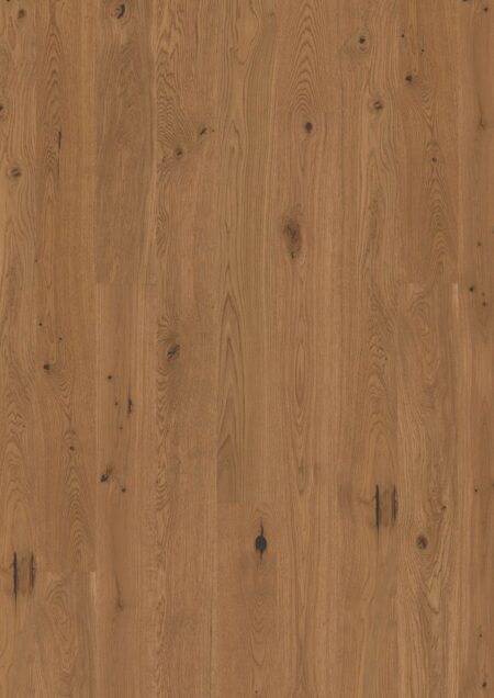 Parket | Oak Honey Vivo