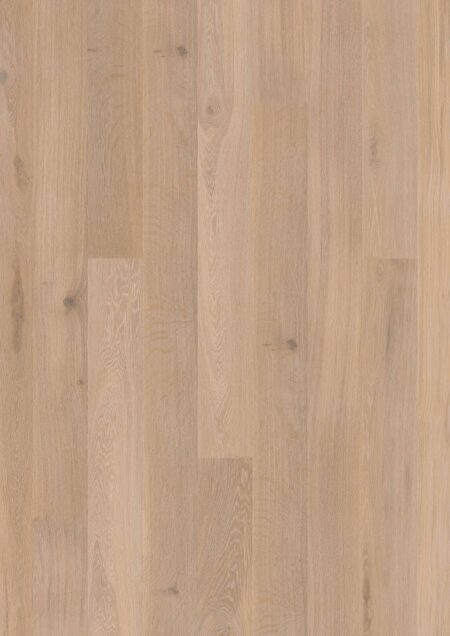 Parket | Oak Coral Animoso
