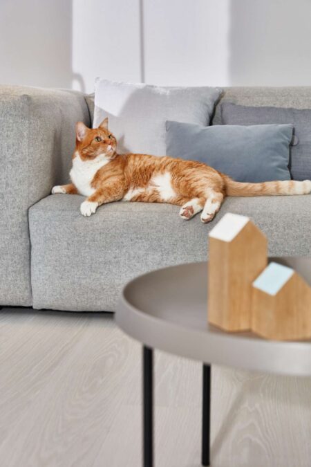 Parket | Oak White Andante Live Pure