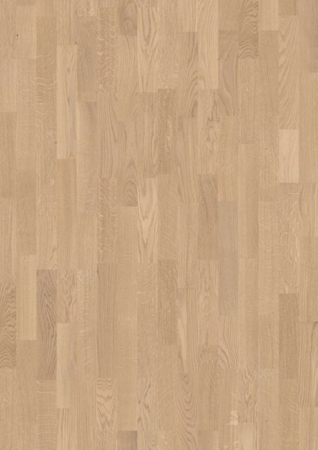 Parket | Oak White Andante