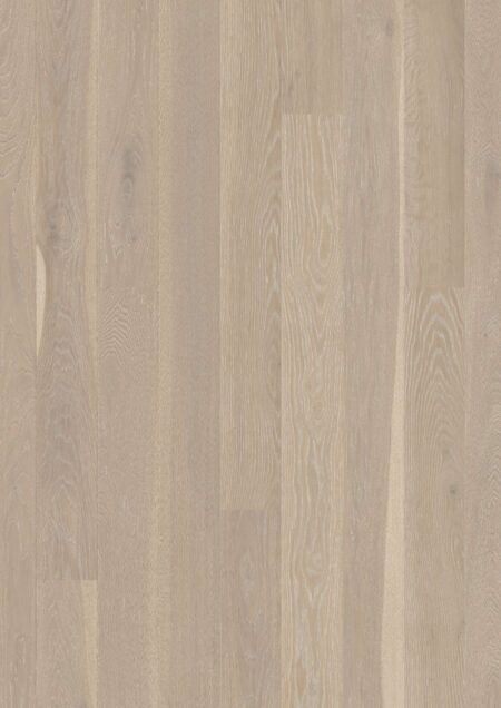 Parket | Oak Grey Harmony Animoso
