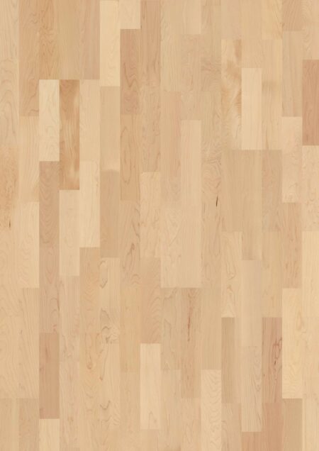 Parket | Maple can. Transparent Andante