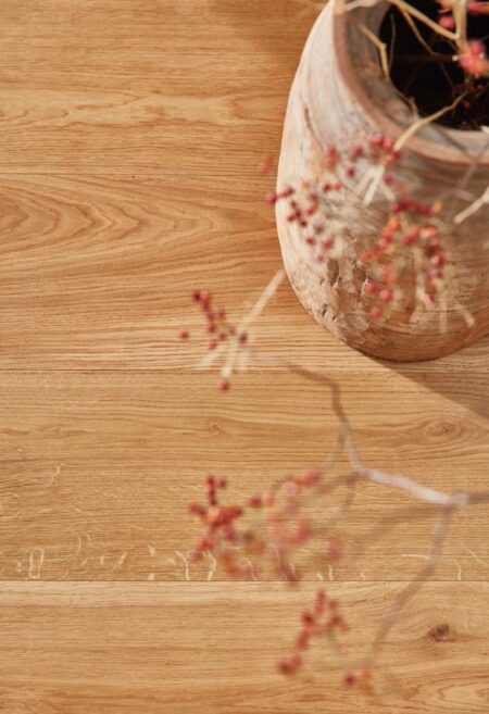 Parket | Oak Transparent Vivo