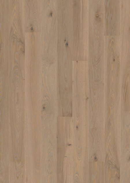 Parket | Oak Warm Grey Animoso