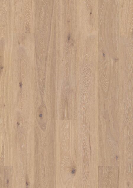 Parket | Oak Coral Animoso