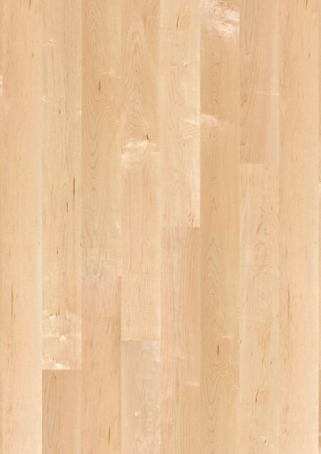 Parket | Maple can. Transparent Andante