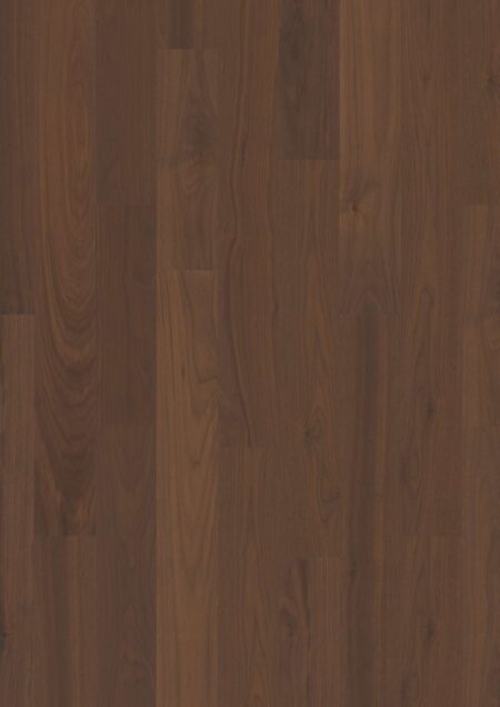 Parket | Walnut am. Transparent Andante