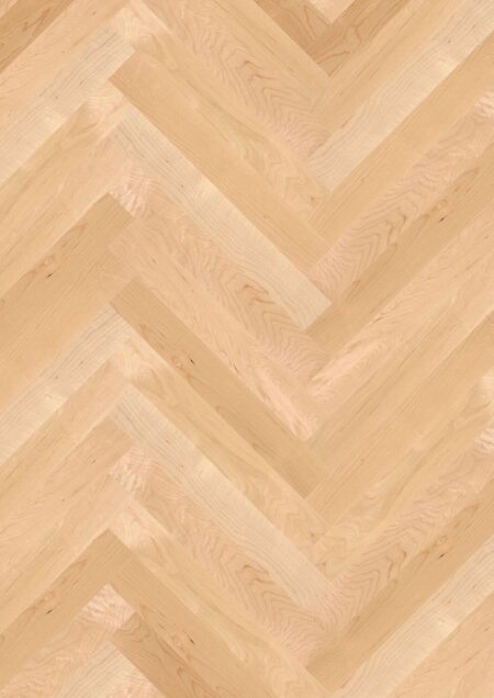 Parket | Maple can. Transparent Nature