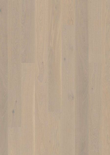 Parket | Oak Warm Cotton Animoso
