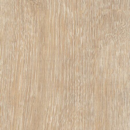 Vinil | Cowrie Oak